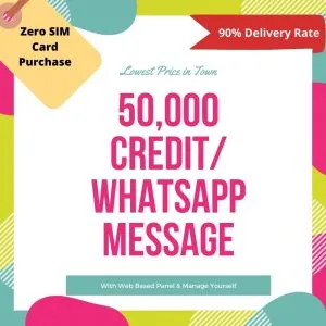 whatsapp business